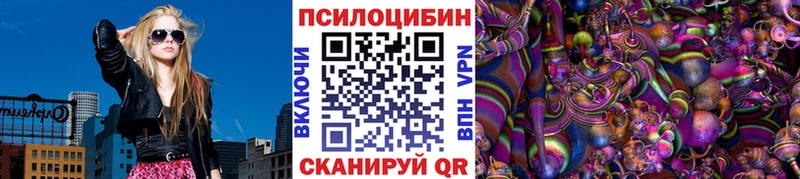 kraken   цены   Болхов  даркнет состав  Псилоцибиновые грибы GOLDEN TEACHER 